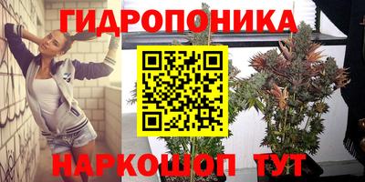 прущие крисы Краснокаменск
