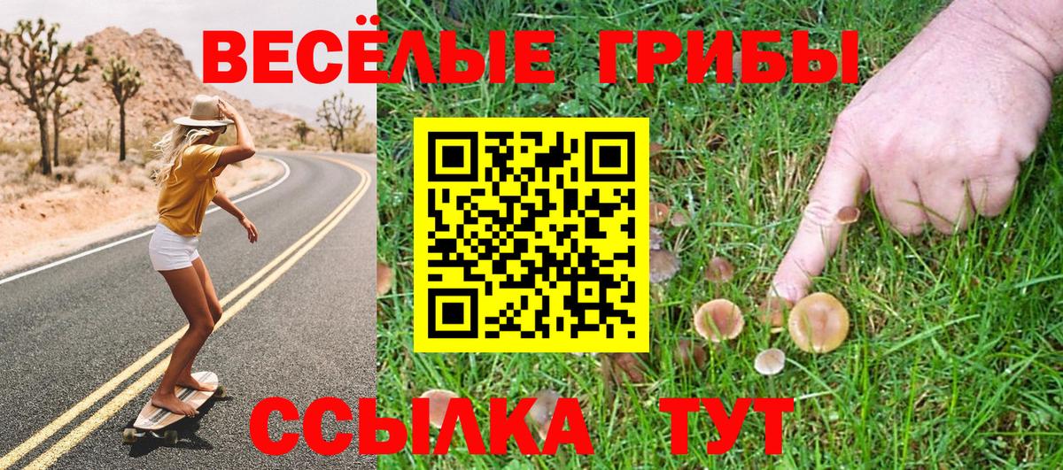 Галлюциногенные грибы мухоморы Карасук